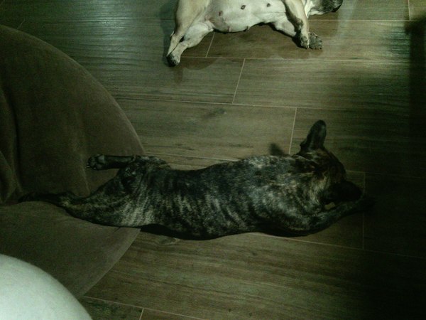 �-�������