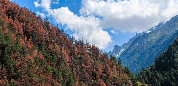 Кавказ Моё, Фотограф, Виталий орлинский, Кавказ, Природа, Горы, Красота, Длиннопост