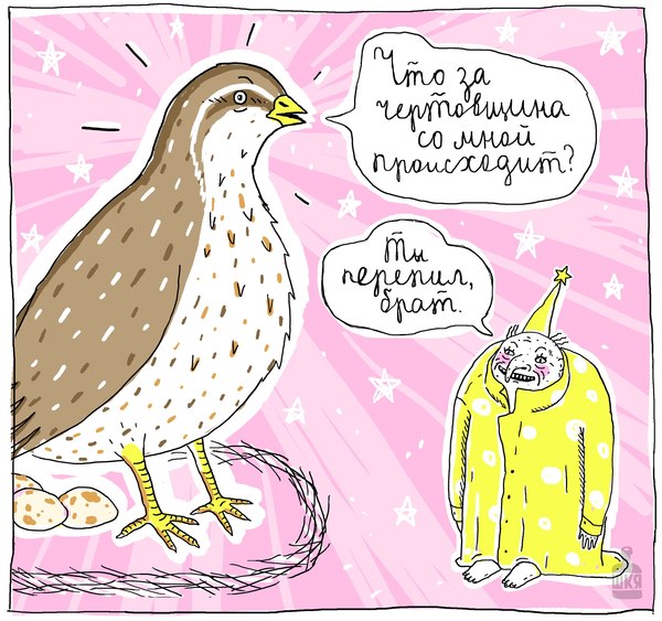 С пятницей, Пикабу!