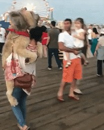   ?   