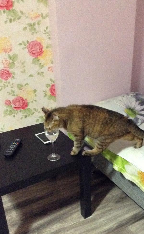 Когда утро субботы