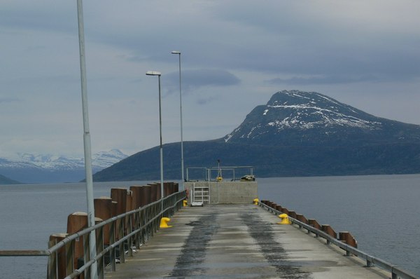 Northern Norway - My, Norway, The photo, Sea, The mountains, Reindeer, Longpost, , wildlife
