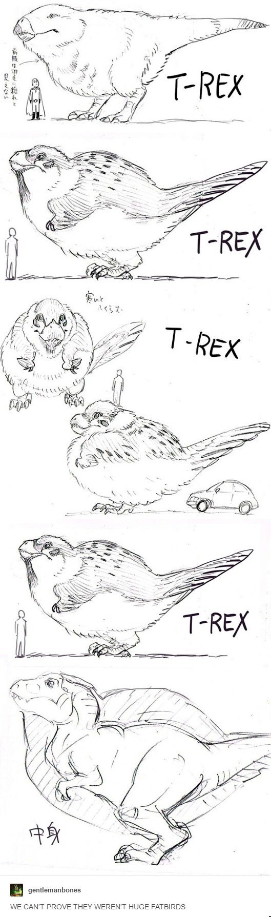 We have no evidence that they weren't giant fat birds. - Birds, Tyrannosaurus, Dinosaurs, Sketch, Drawing, Why not?, Longpost