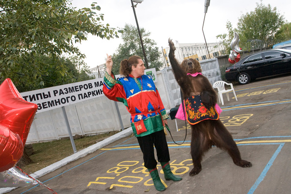 At the opening of the residential complex Tsaritsyno the audience was outraged by the treatment of the bear - Петиция, Animal protection, Help, Helping animals