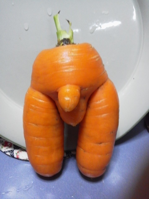 Girls, I don’t remember the variety. Don't ask! - NSFW, Carrot, Harvest, Summer residents, Dacha, Garden, Humor