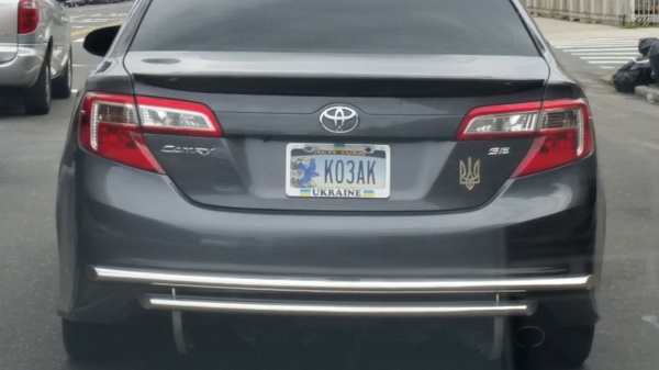 Самоидентификация патриотов стран, из которых они же бежали в Америку :) США, Америка, Авто, Номер, Автомобильные номера, Украина, Патриоты, Поцтреот