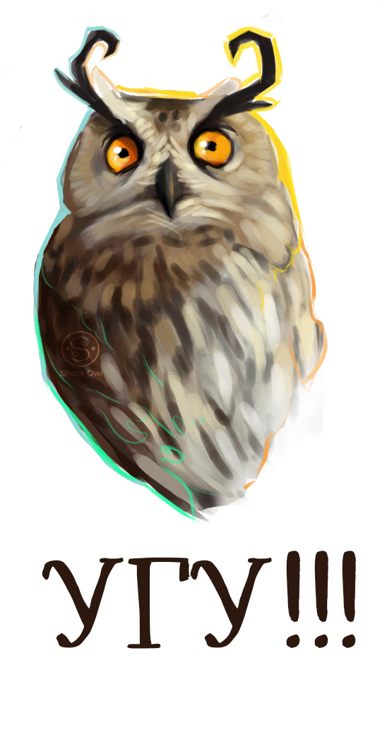 Owl from Holzan on memchiki) - My, Art, Memes, Owl, Owl, Phrase, Images, Drawing, Longpost