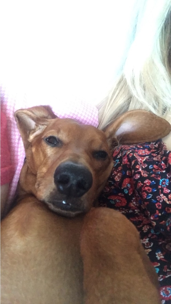 ����� �������� ������� ���������