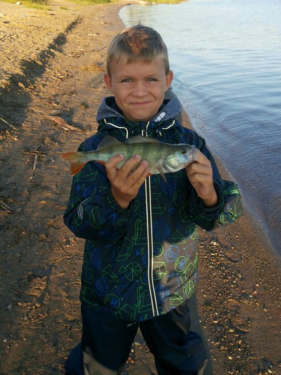 Fishing in Berdsky Bay (NSO) - Fishing, Berdsky Bay, Berdsk, Novosibirsk region, Perch, Children, A fish, Longpost