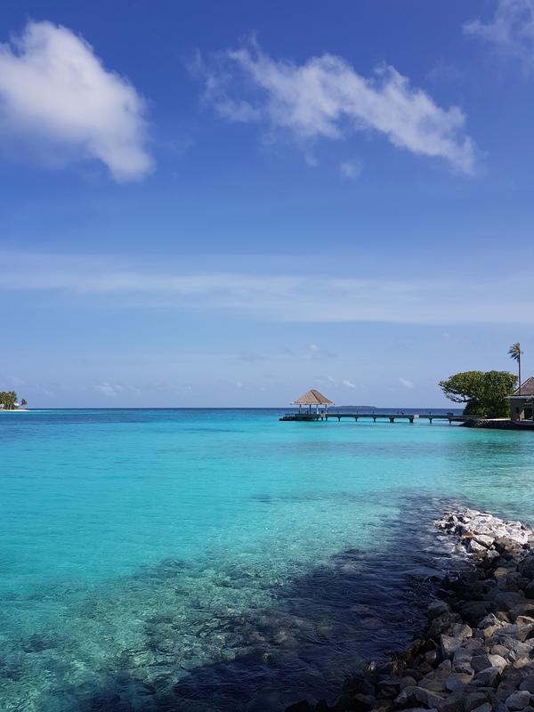 Жизнь и работа на Мальдивах. Часть 3 Мальдивы, Работа, Sunnysideoflife, Длиннопост