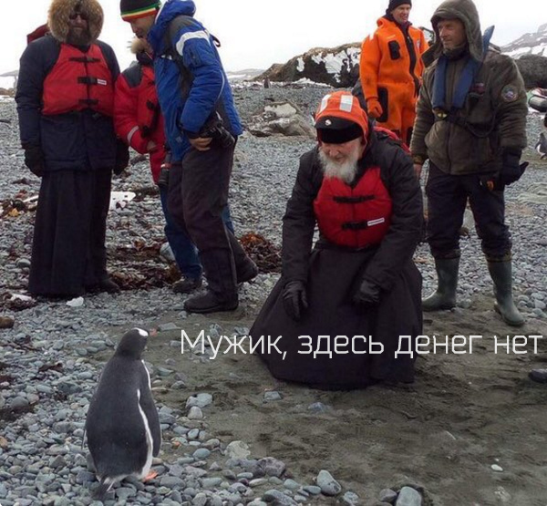 Кирил и пингвин - Пингвины, Юмор, Патриарх Кирилл, Фотография