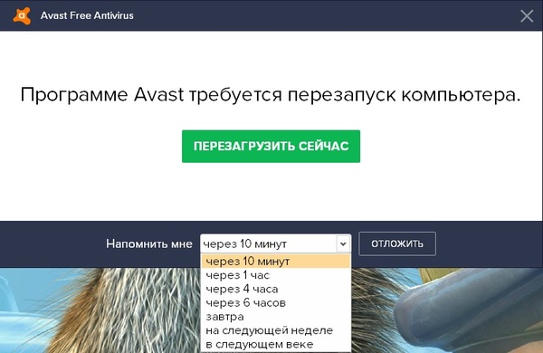 Avast making fun - Antivirus, Humor