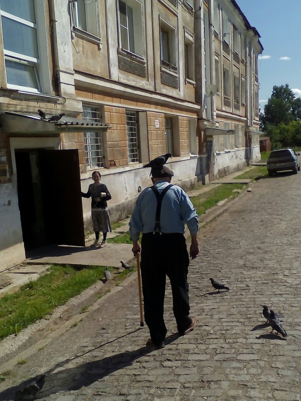 Голубиное такси