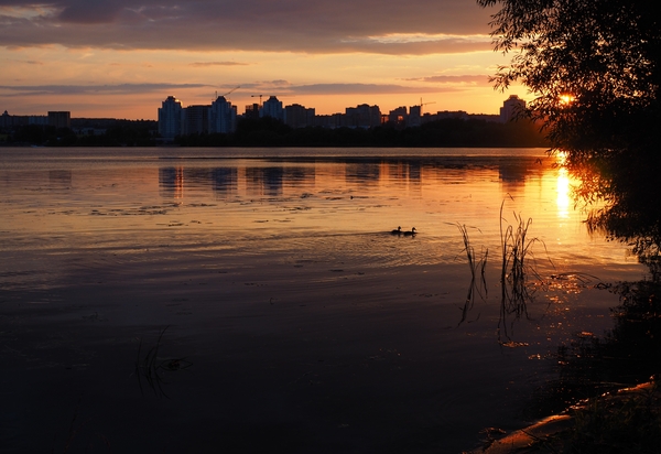 Городской закат - Моё, Закат, Вечер, Река, Город, Утка