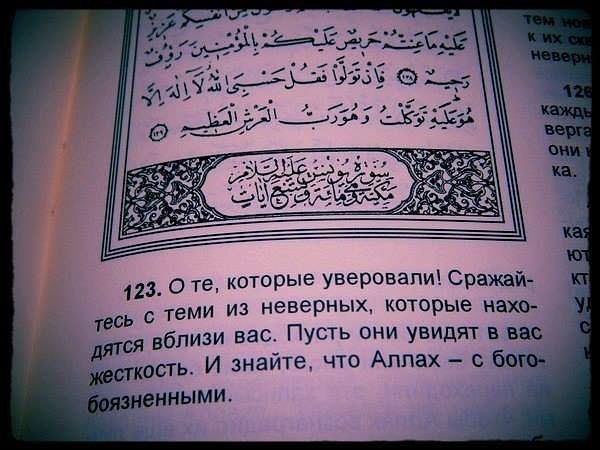 Ислам - такая мирная религия. Как же это террористы так неправильно ее понимают? - Антиислам, Книги, Ислам, Религия