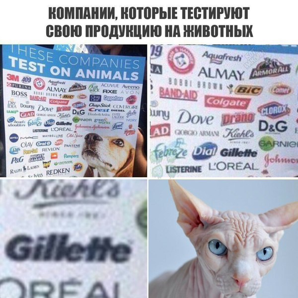 ��� ��� ��� ���