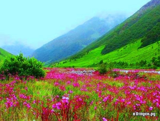 In the valley of the sun, where Fergana is. - Fergana, Uzbekistan, Fergana Valley, The photo, Landscape, Homeland, Longpost