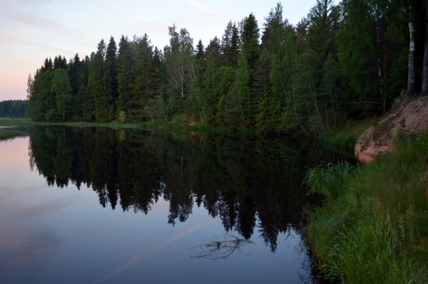 Вырица, р. Оредеж. Пикник в разгар белых ночей Оредеж, Пикник, Белые ночи, Ленинградская область, Шашлык, Длиннопост