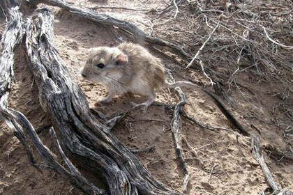 ��������� ���������� ��� � ������������ ����