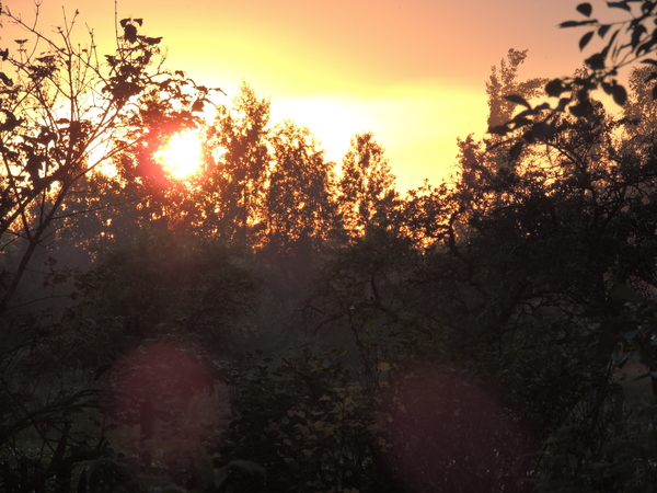 Belarusian hinterland. - My, Nature, Landscape, beauty, Potato, The photo