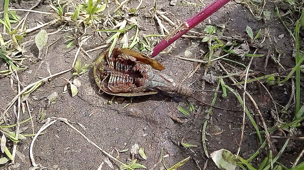 ����� � ����� �����������