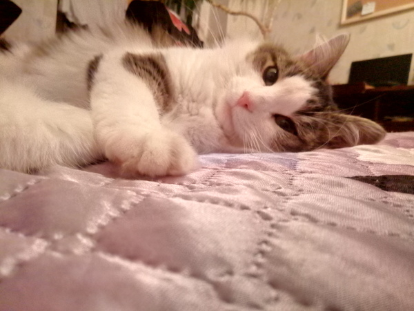 ������ ���� ������