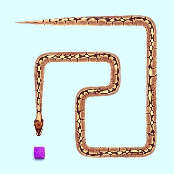 Змейка | Пикабу