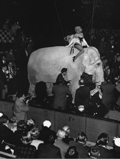 Редкие фото знаменитостей: Мэрилин Монро - Мэрилин Монро, Блондинка, Фотография, Девушки, Прошлое, Ретро, 20 век, Подборка, Длиннопост