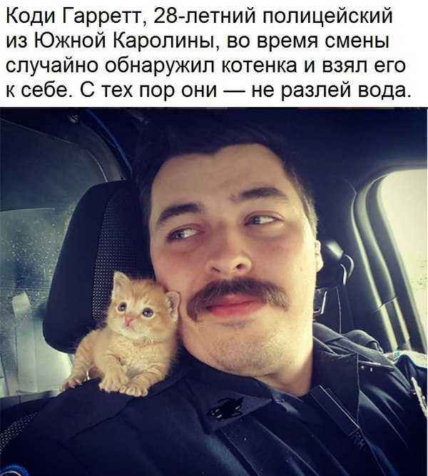 Kindness - US police, cat