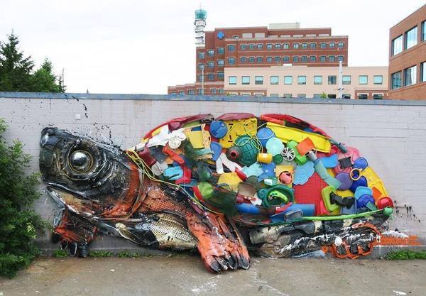 Turtle - Bordalo II, Art