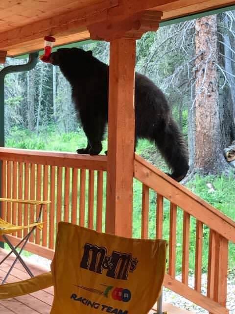 When very thirsty - The Bears, Thirst