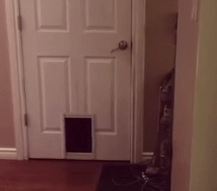 !