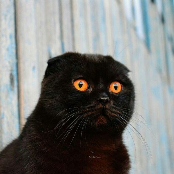 Помогите выбрать оператора...