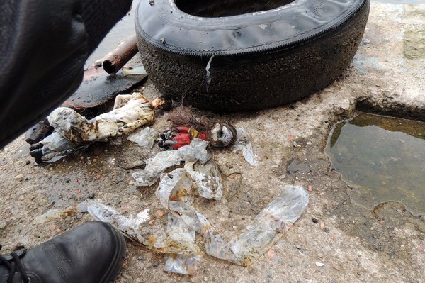 A voodoo doll was found at the bottom of a lake in the Murmansk region. - My, Trash, Garbage, Ecology, Voodoo, Games, Trash