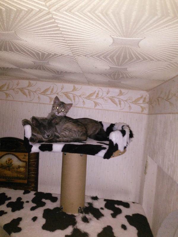 ��������� � ������ ����.