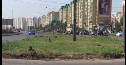 Public utilities cut down birch trees planted in memory of those killed on the Kursk submarine [Fake] - Square, Birch, Road, Utility services, Kursk, Fake