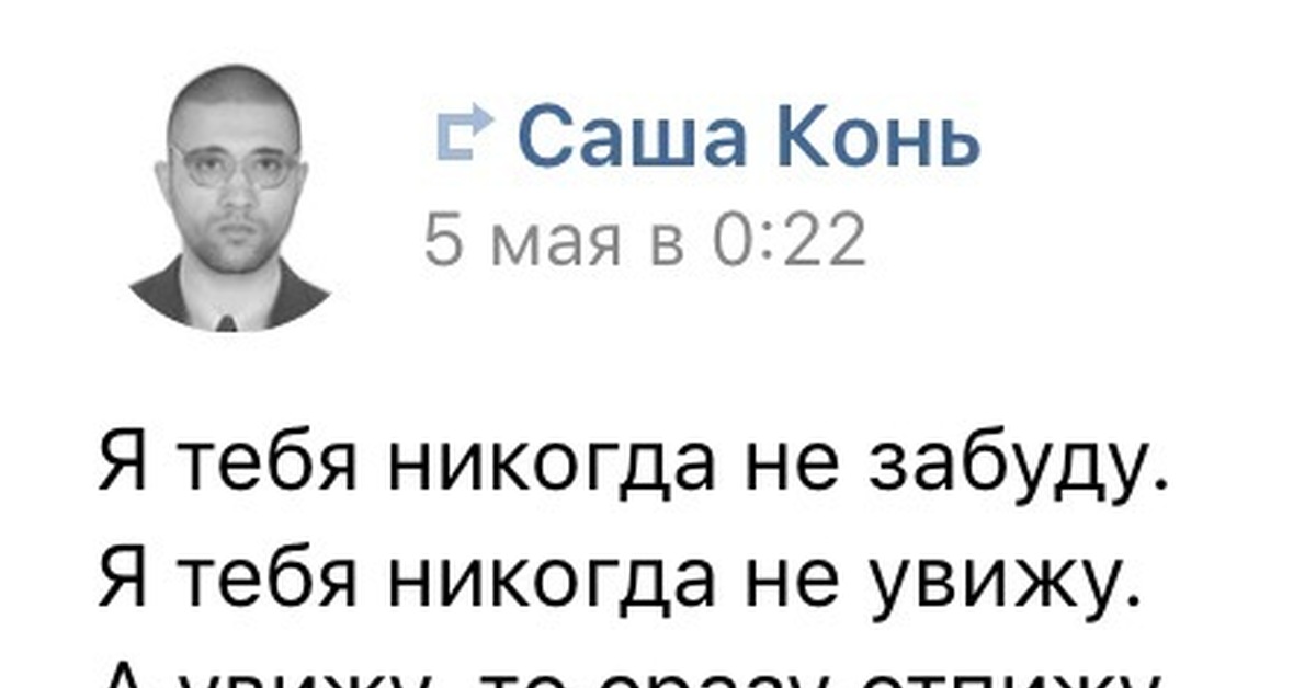Телеграм саша конь