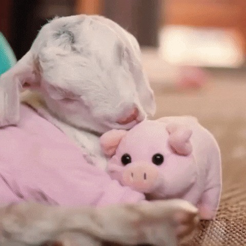      :)