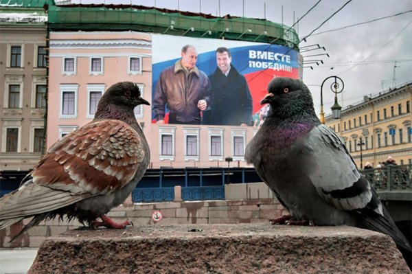 Together! - Vvp, , Tandem, Politics, Love and pigeons, , Banner, Vladimir Putin, Dmitry Medvedev, Pigeon