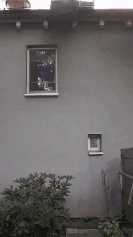        :)