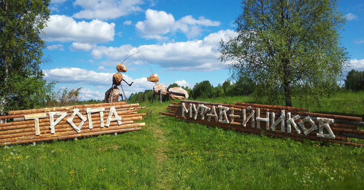 Парк предков. Тропа муравейников Кенозерский национальный парк. Муравьиная тропа Кенозерье. Кенозерский национальный парк Каргопольский сектор. Кенозерье Каргопольский сектор.