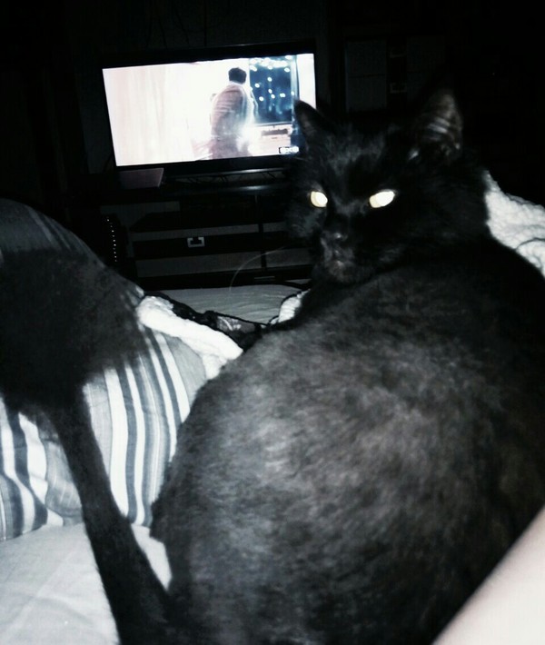 ��� ���� �������� ���...