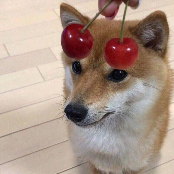 Kawai , ,  