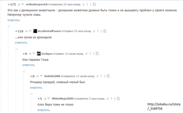 Разновидности тихих домашних животных