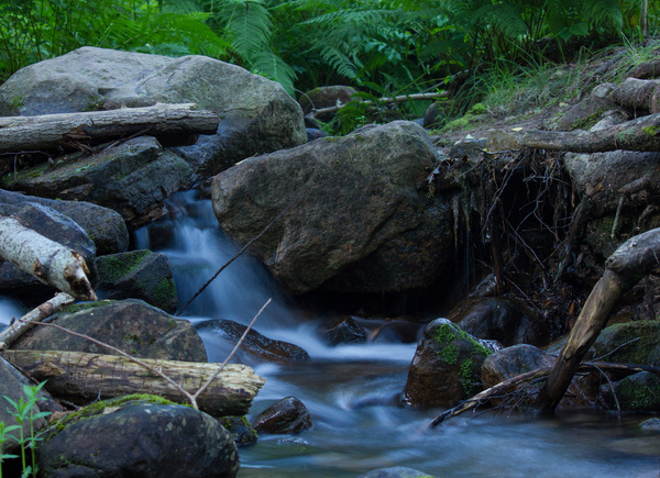 Alone with nature - My, , The photo, Mountain Creek, Mountain tourism, Forest, Stream, Nature, beauty of nature