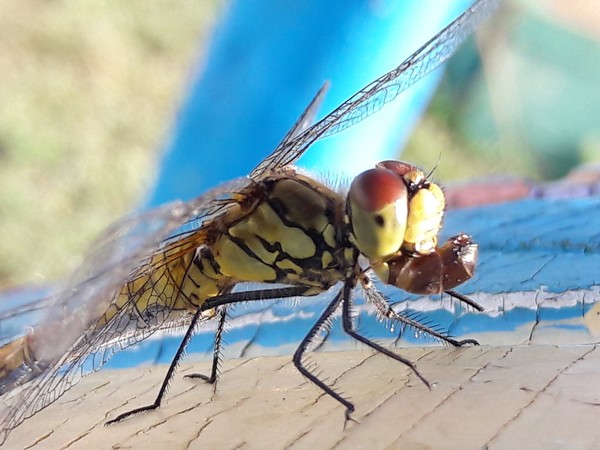 ��������� ������