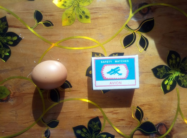 This is the egg that the hen laid this morning - , Egg, Matches