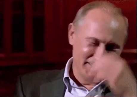 Гифки которые смотрятся лучше запущенные задом наперед. Gif анимация, Кот, Владимир Путин, Мультфильмы, Гифка, Длиннопост, Реверс