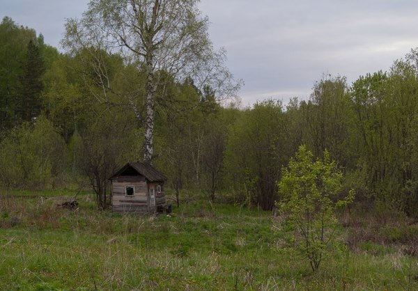 Just a lonely house - Summer, House, Atmospheric, Cosiness