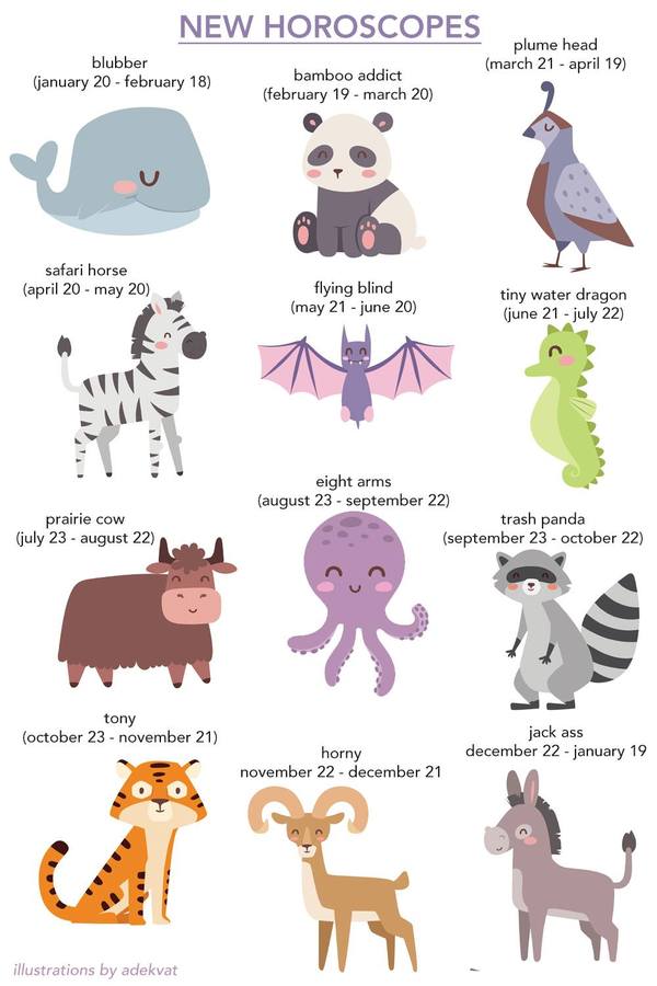 New zodiac signs: trash panda and little water dragon - My, Horoscope, Laugh, Humor, Panda, Animals, Raccoon